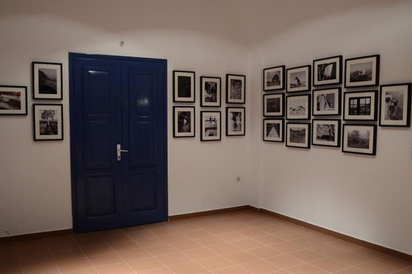 Museum Exhibitions